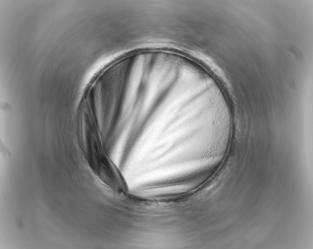 X0000090721175200708101547