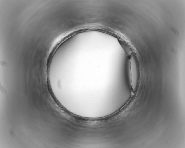 X0000090721176200708101547