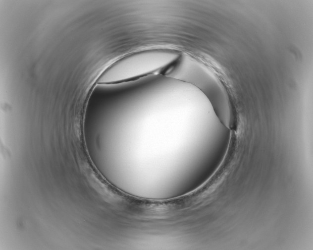 X0000090721177200708101547