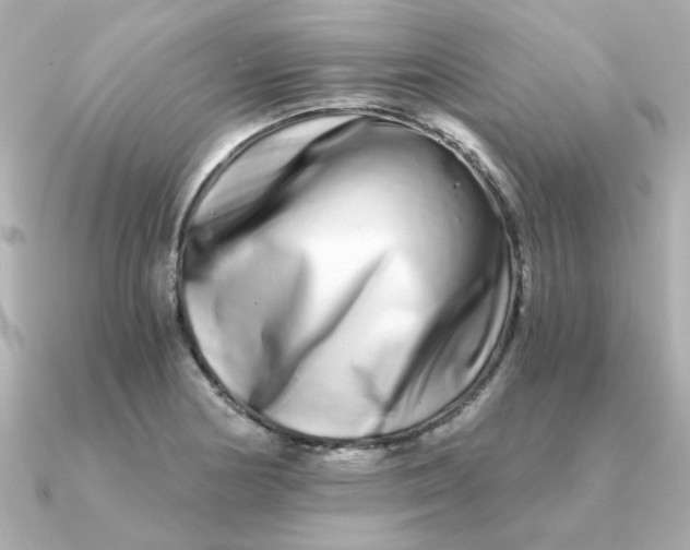 X0000090721178200708101547