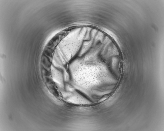 X0000090721179200708101547