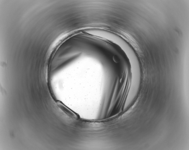 X0000090721180200708101547