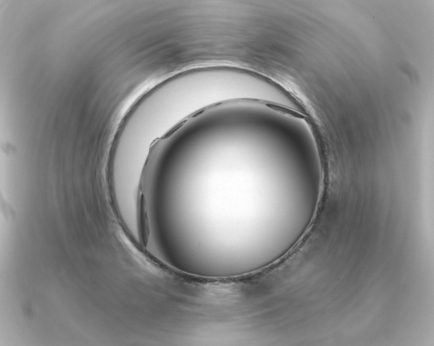 X0000090721181200708101547