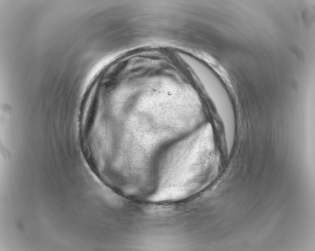 X0000090721183200708101547