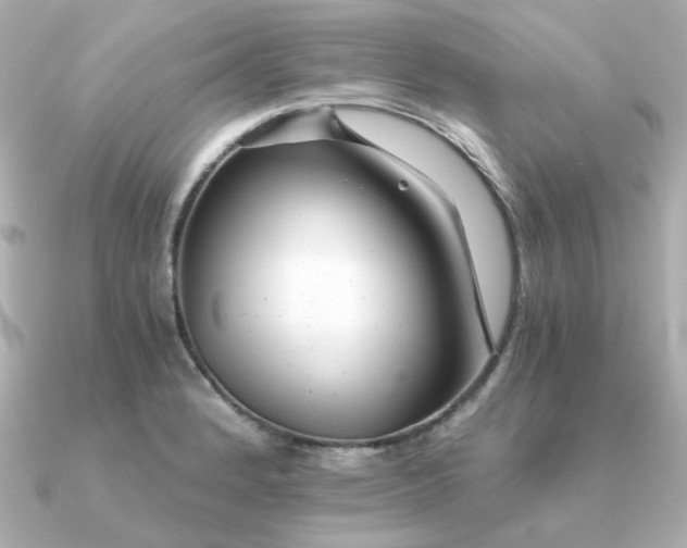 X0000090721184200708101547