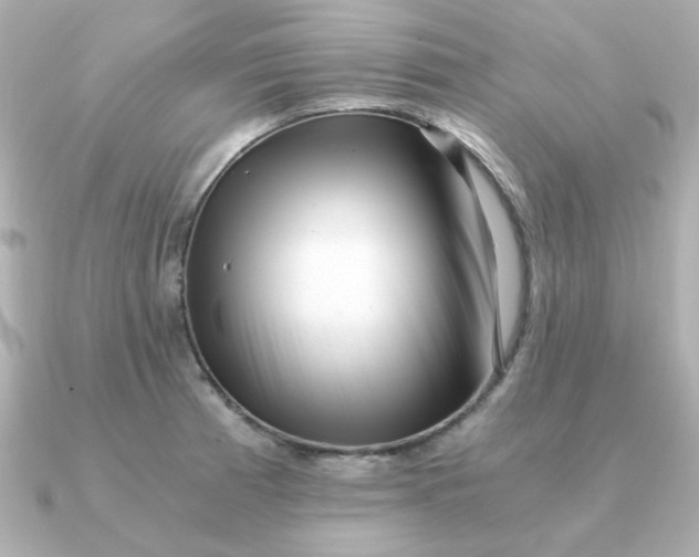 X0000090721185200708101547