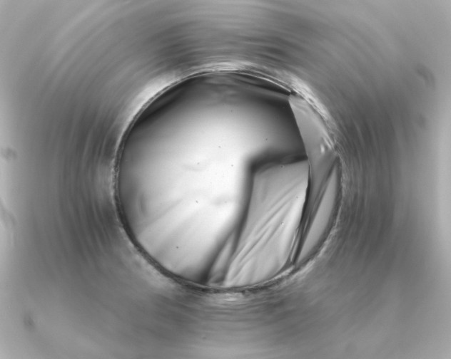 X0000090721186200708101547