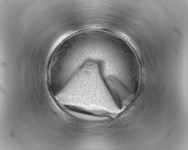 X0000090721187200708101547
