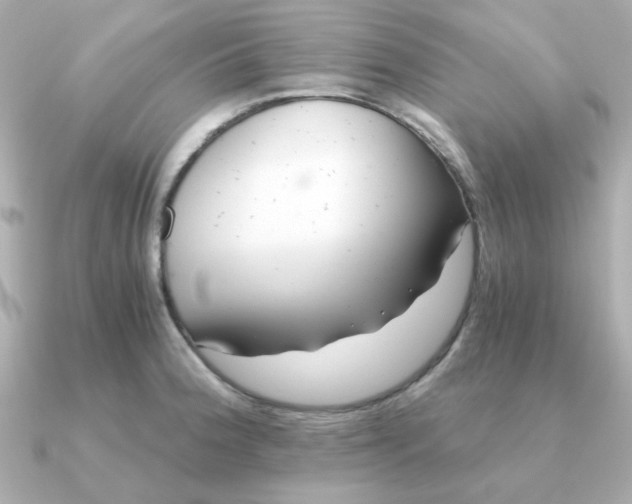 X0000090721188200708101547