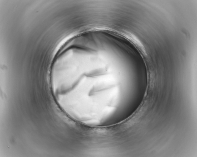 X0000090721190200708101547