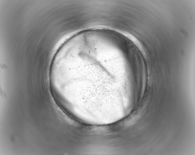 X0000090721191200708101547