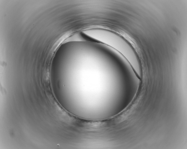 X0000090721193200708101547