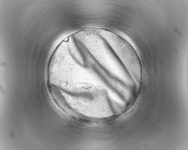 X0000090721195200708101547