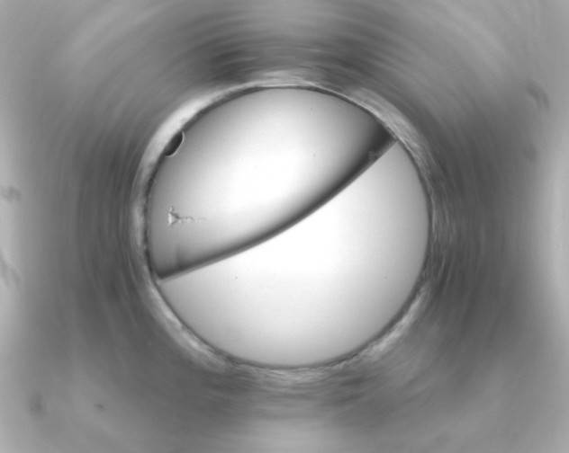 X0000090721196200708101547