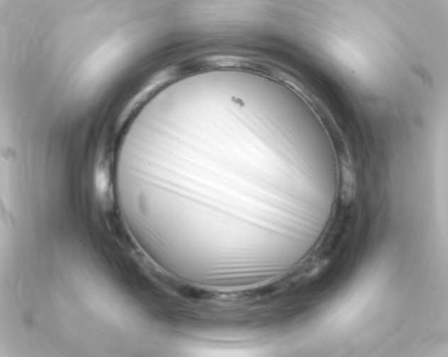 X0000090721198200708101547