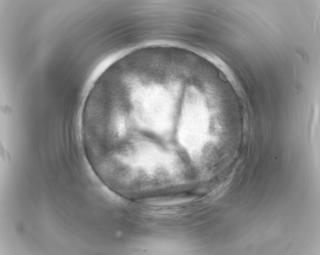 X0000090721199200708101547