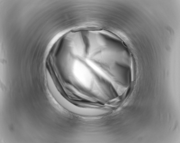 X0000090721200200708101547