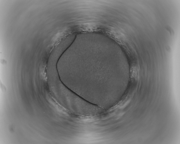 X0000090721202200708101546