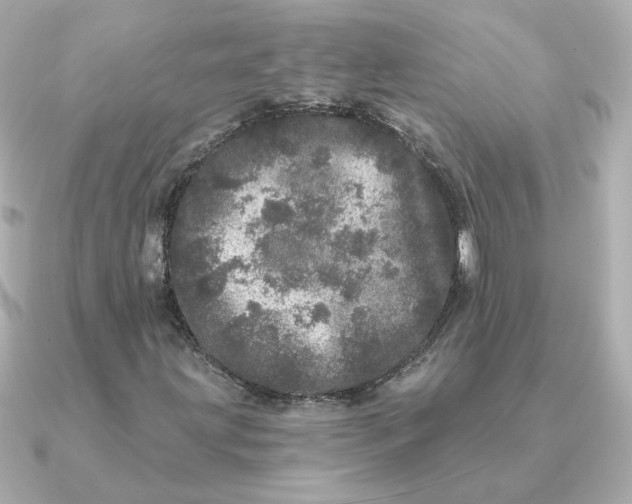 X0000090721203200708101546