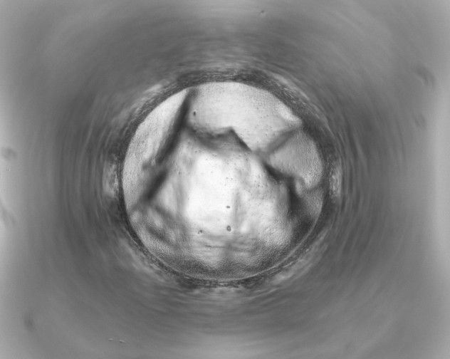 X0000090721204200708101546