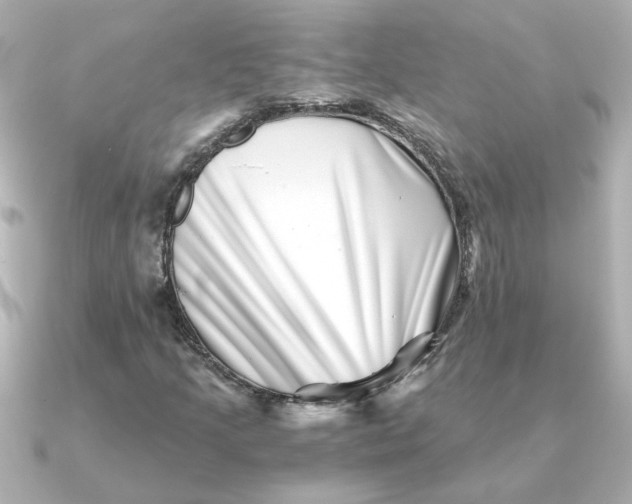 X0000090721205200708101546