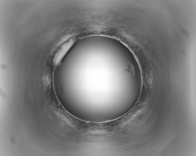 X0000090721206200708101546