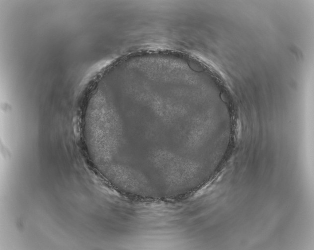 X0000090721207200708101546