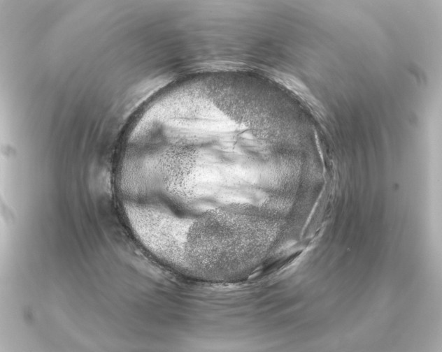 X0000090721209200708101546