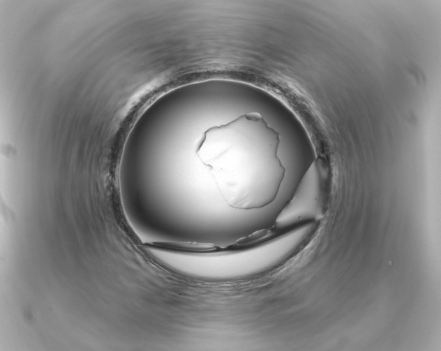 X0000090721210200708101546