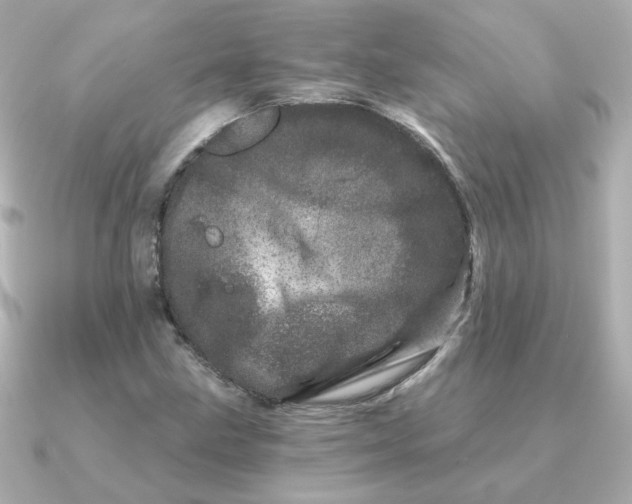 X0000090721211200708101546