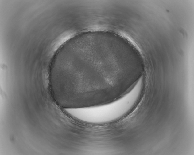 X0000090721213200708101546