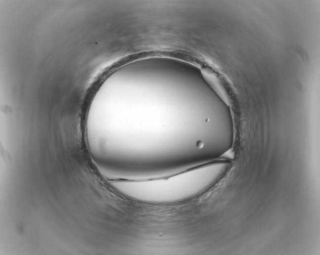 X0000090721214200708101546