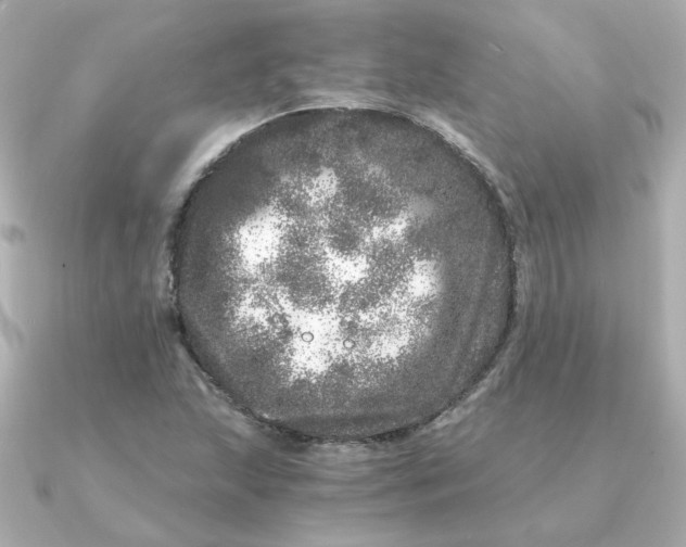 X0000090721215200708101546