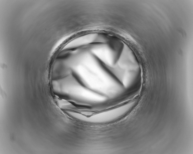 X0000090721216200708101546