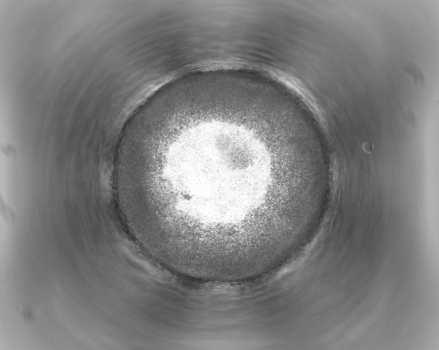 X0000090721217200708101546