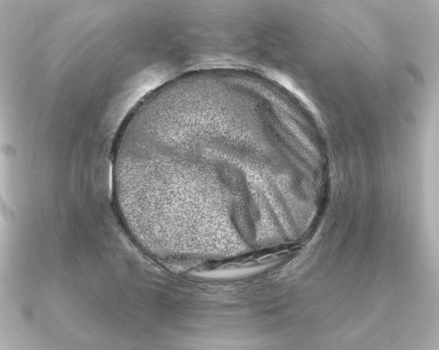 X0000090721221200708101546