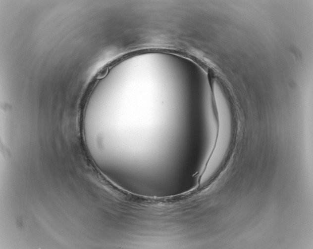 X0000090721222200708101546