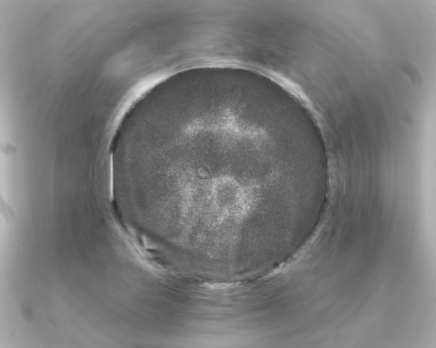 X0000090721223200708101546
