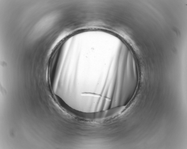 X0000090721224200708101546