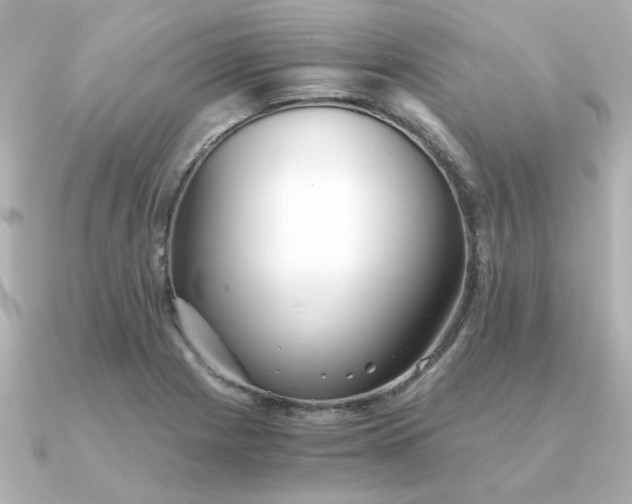 X0000090721225200708101546