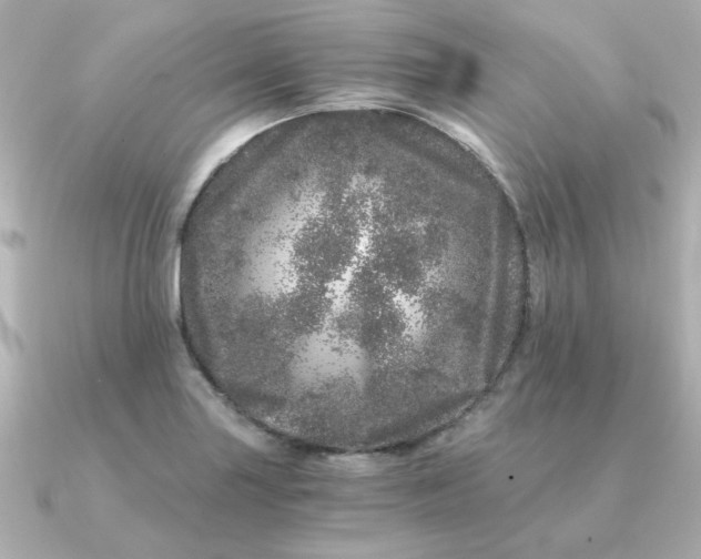 X0000090721227200708101546