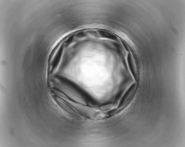 X0000090721228200708101547