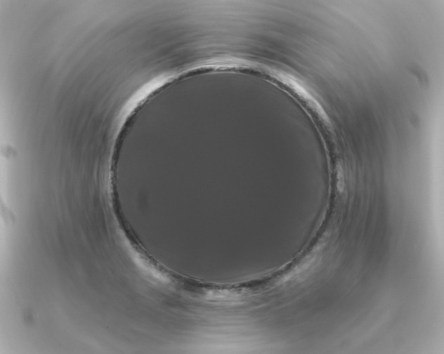 X0000090721229200708101547