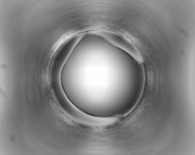 X0000090721230200708101547