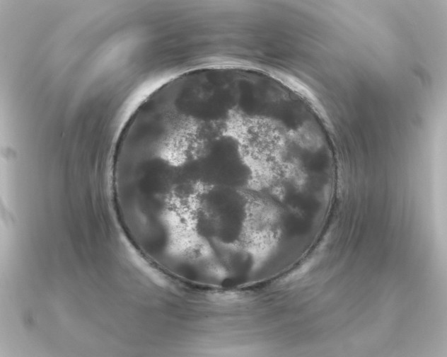X0000090721231200708101547