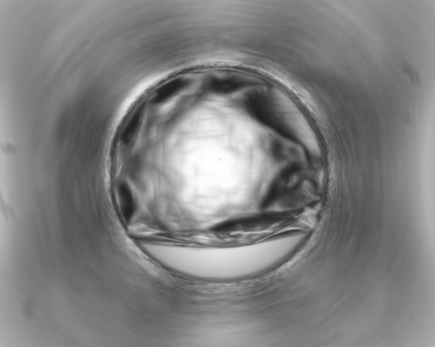 X0000090721232200708101547