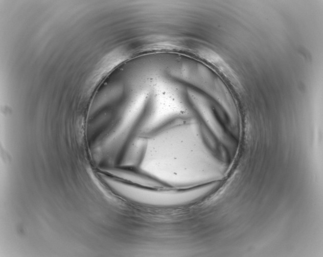 X0000090721233200708101547