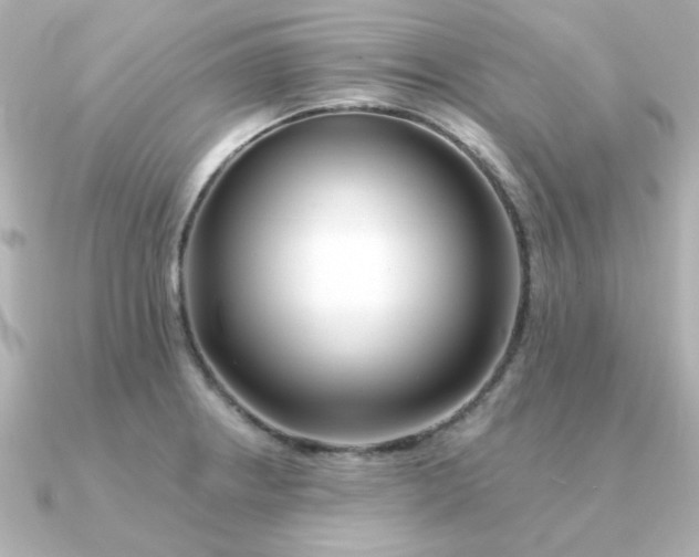 X0000090721234200708101547