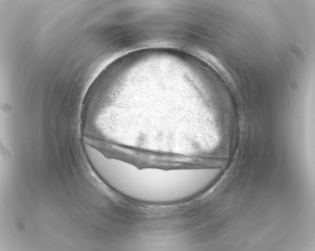 X0000090721236200708101547
