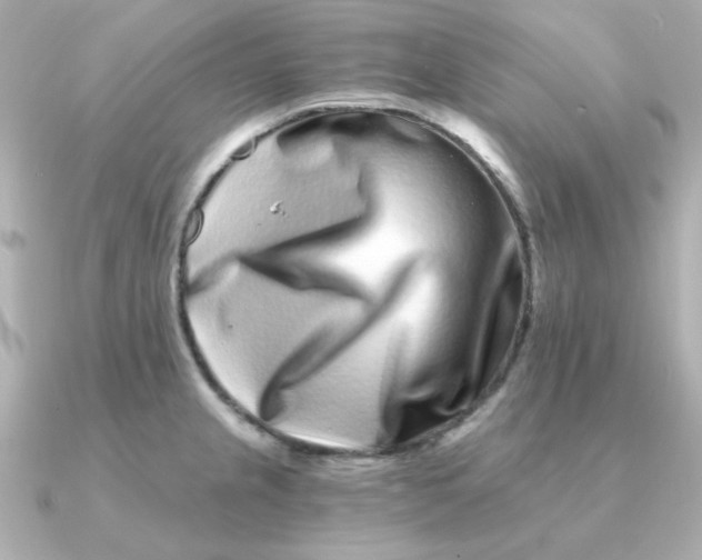 X0000090721237200708101547